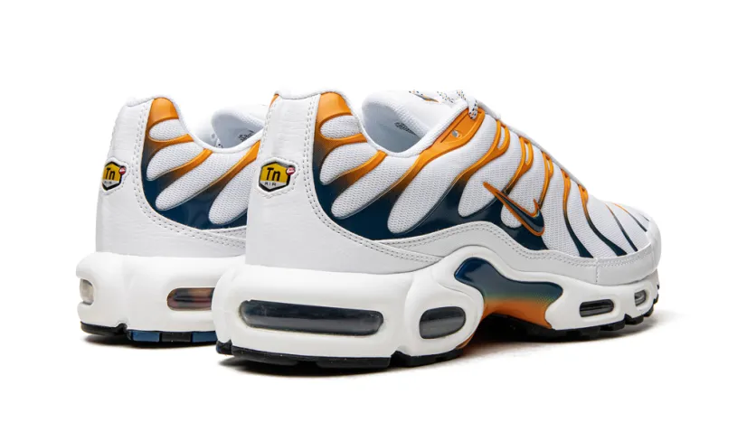 Nike Lifestyle Air Max Plus 'Hiking'